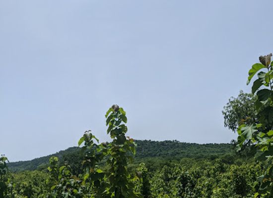 togo/bassar/shop/bassar
