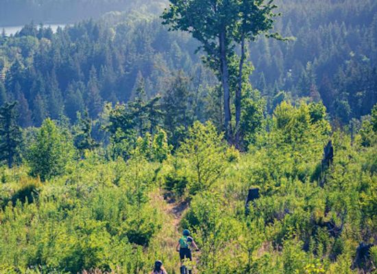 washington/bellingham/shop/dig-deep-tours