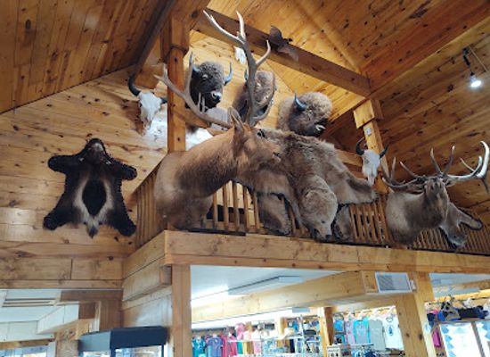 south-dakota/black-elk-peak/shop/aura-gallery-and-hold