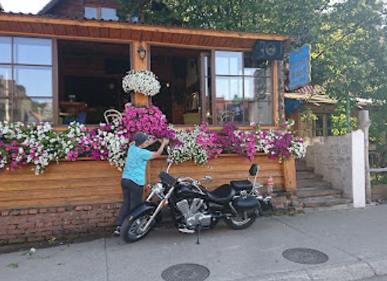 montenegro/zabljak/shop/lounge-bar-cudna-suma
