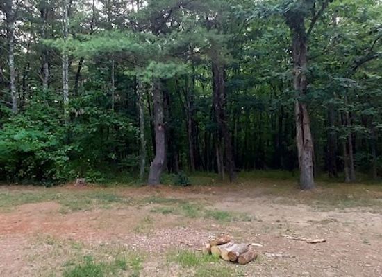 maryland/green-ridge-state-forest/shop/green-ridge-state-forest-campsite-23