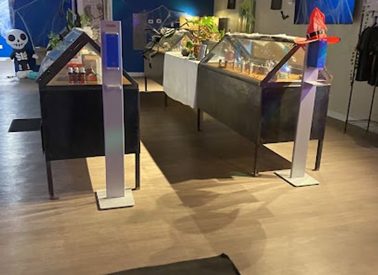 new-mexico/bernalillo/shop/purlife-dispensary-bernalillo