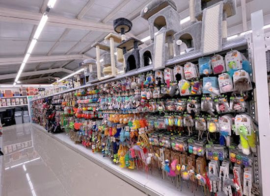 chile/nuble-region/shop/mall-chino-casa-panda