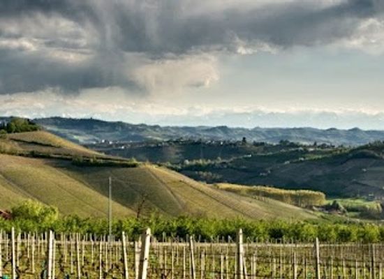 italy/langhe/shop/lovelanghe-visite-in-cantina-ed-eventi-nelle-langhe-e-in-piemonte