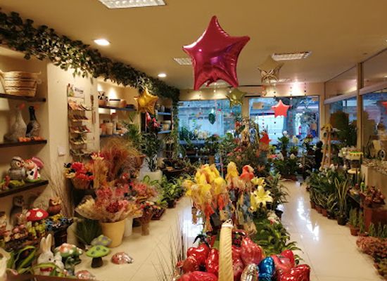 uruguay/durazno/shop/floreria-edison