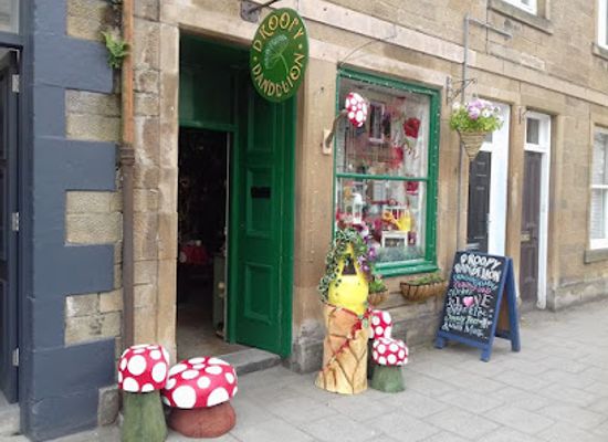 united-kingdom/berwickshire/shop/droopy-dandelion-the-scottish-fairy-shop