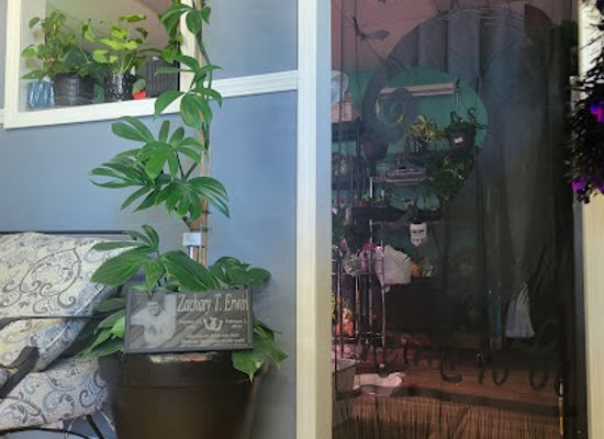 indiana/anderson/shop/wild-moon-child-garden-boutique-llc