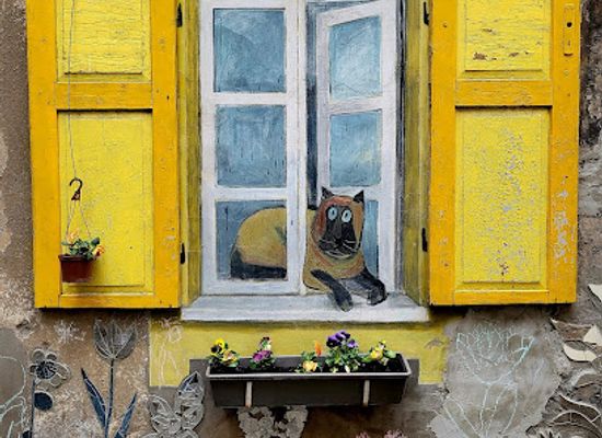 lithuania/kaunas-region/shop/yard-gallery