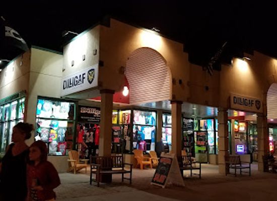 new-york/lake-george/shop/dilligaf