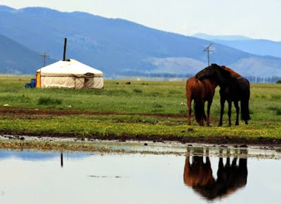 mongolia/zavkhan-river-valley/shop/zendmen-travel