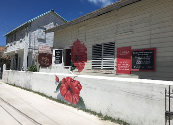 belize/mountain-pine-ridge/shop/red-flower-gallery-boutique
