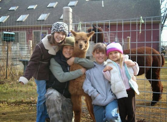 massachusetts/quabbin-reservoir/shop/great-rock-alpacas