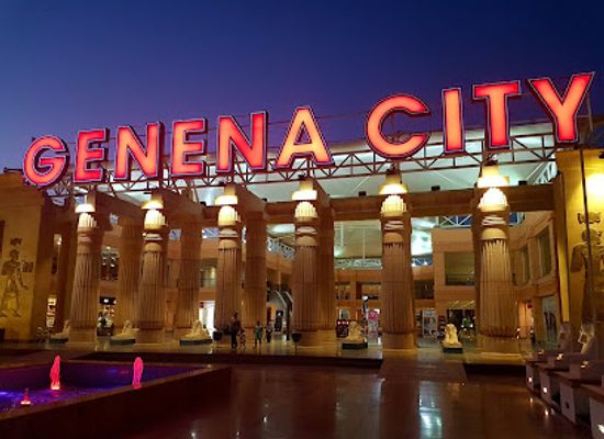 egypt/nile-delta/shop/genena-city