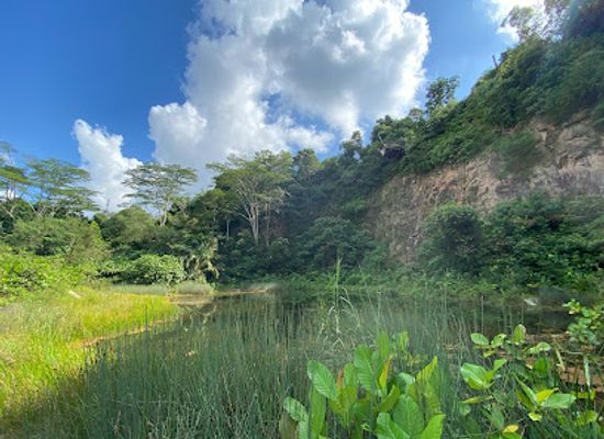 singapore/bukit-batok/shop/rifle-range-nature-park