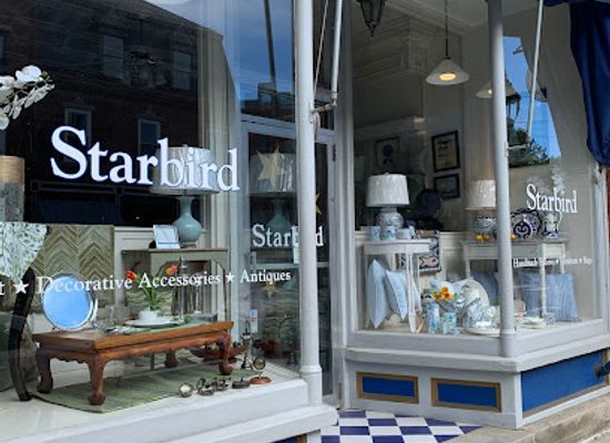 maine/camden/shop/star-bird