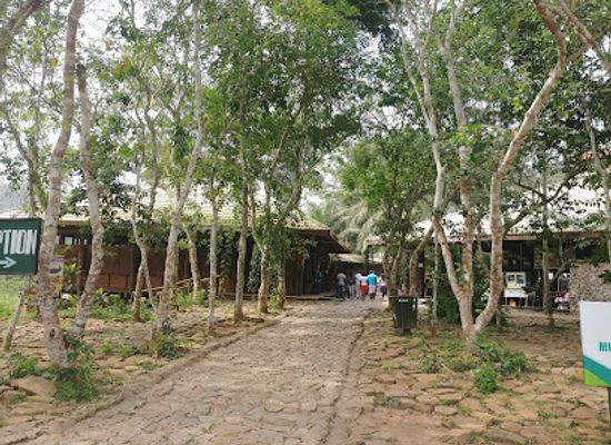 ghana/kakum-national-park/shop/kakum-national-park-entrance-gate-ghana