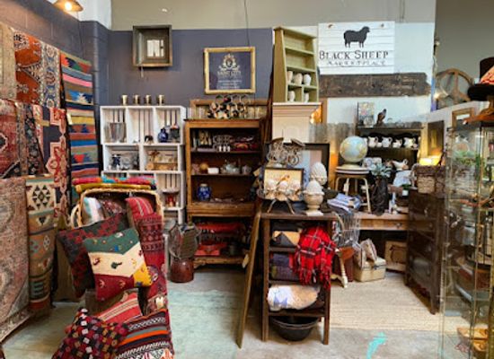 utah/great-salt-lake-desert/shop/oliver-princess-natashas-unique-home-decor