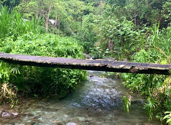 jamaica/blue-mountains/shop/sherwood-forest-coffee-estate