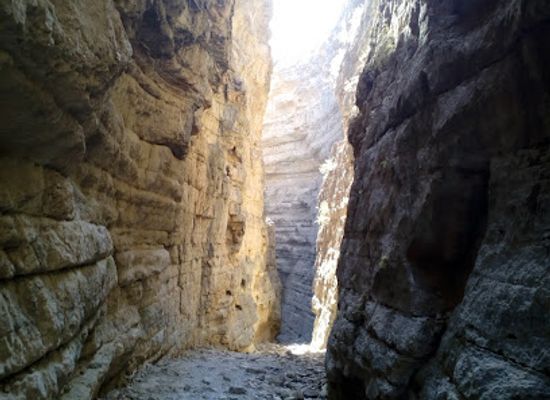 turkmenistan/lebap-region/shop/koytendag-nature-reserve
