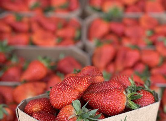 slovenia/kranjska-gora/shop/sadje-in-zelenjava-nedzat-idrizi-s-p