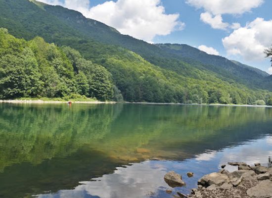 montenegro/skadar-lake-region/shop/biogradska-gora-national-park