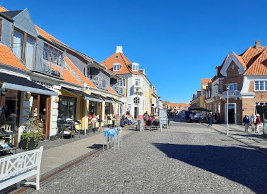 denmark/skagen/shop/skagen