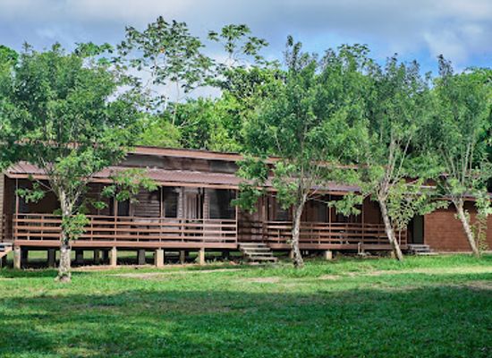belize/mountain-pine-ridge/shop/cockscomb-basin-wildlife-sanctuary