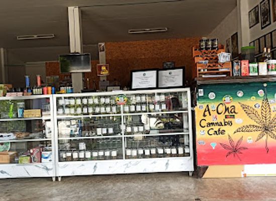 thailand/pai/shop/cannabis-cafe-art-for-all