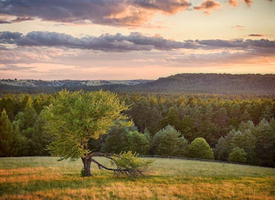 poland/roztocze-national-park/shop/white-hill-lookout-tower