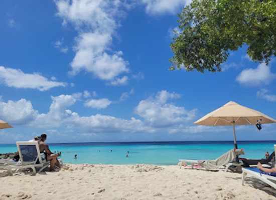 curacao/piscadera/shop/pioneer-store