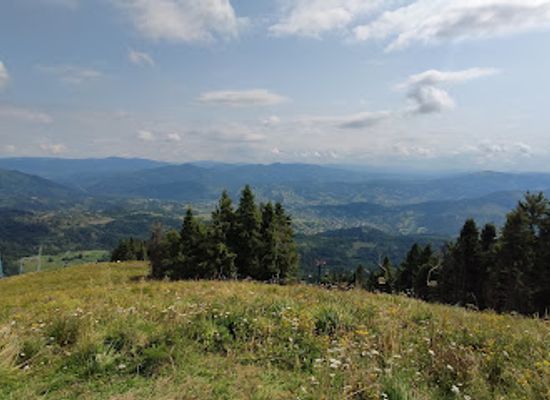 ukraine/trostyan/shop/mt-trostyan-1232m