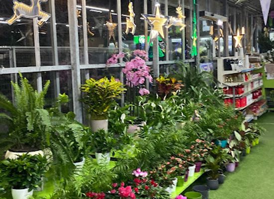 greece/east-macedonia-and-thrace/shop/flowers-plants-gikas