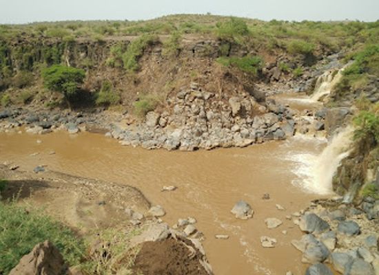ethiopia/danakil-depression/shop/awash-national-park