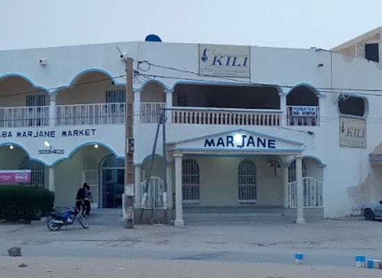 niger/air-mountains/shop/marjane-market