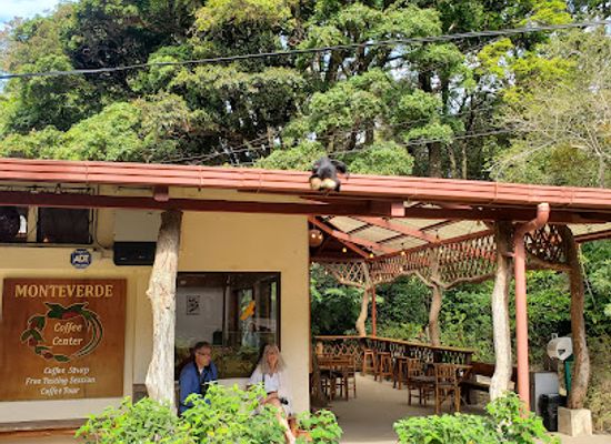 costa-rica/monteverde-cloud-forest/shop/cafe-monteverde