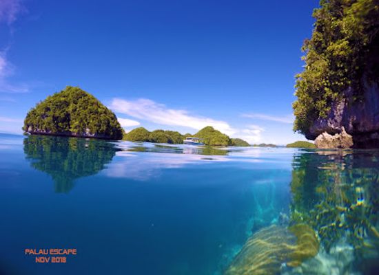 palau/koror-town/shop/palau-escape