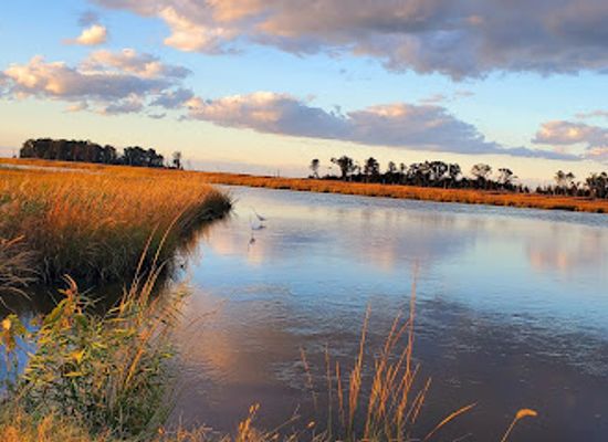 delaware/the-delaware-bayshore/shop/prime-hook-national-wildlife-refuge