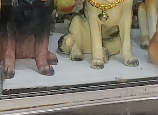 india/nagpur/shop/deepak-emporium