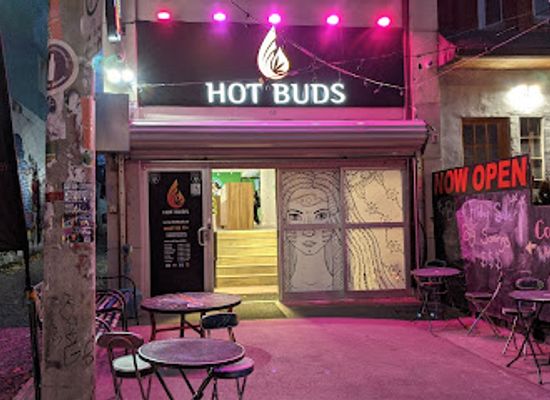 canada/toronto/kensington-market/shop/hot-buds