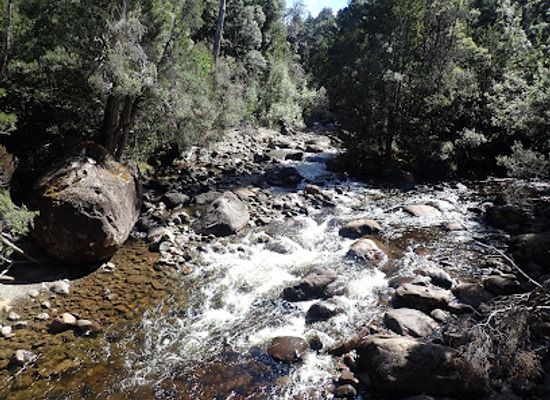 australia/cradle-mountain-lake-st-clair-national-park/shop/lake-st-clair-national-park