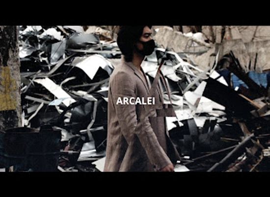 romania/bucharest/herastrau/shop/arcalei