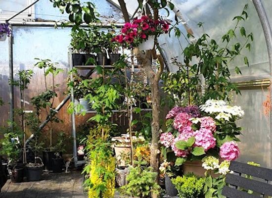 iceland/hveragerdi/shop/flora-garoyrkjustoo