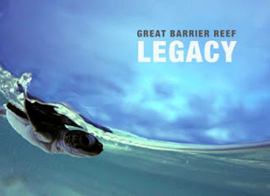 australia/great-barrier-reef/shop/great-barrier-reef-legacy