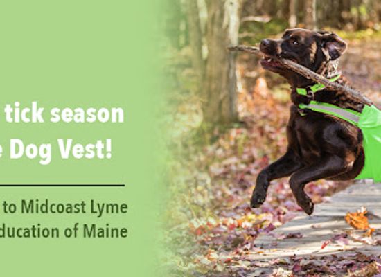 maine/somerset-county/shop/dog-not-gone-maine-stitching-made-in-maine