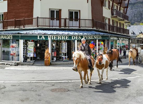 france/pyrenees/shop/la-pierre-des-pyrenees