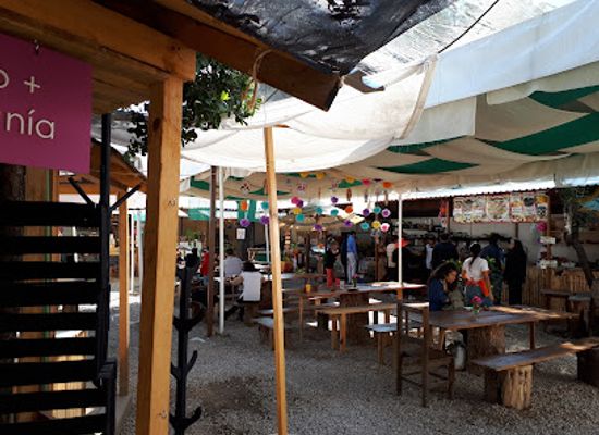 mexico/isthmus-of-tehuantepec/shop/zandunga-sabor-istmeno