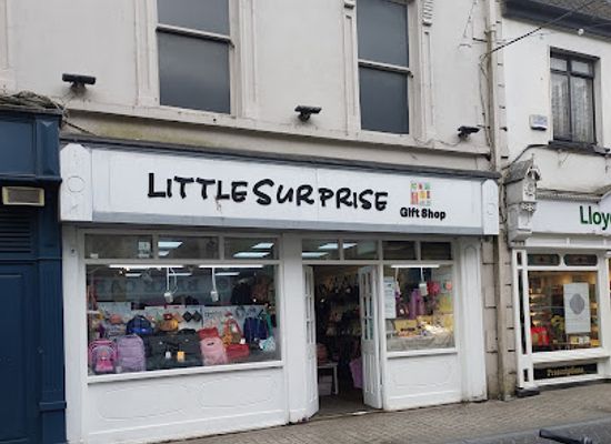 ireland/county-carlow/shop/little-surprise