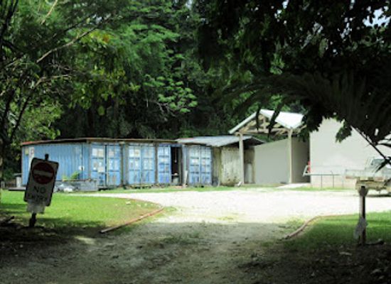 christmas-island/pink-house-research-station/shop/the-pink-house-research-station