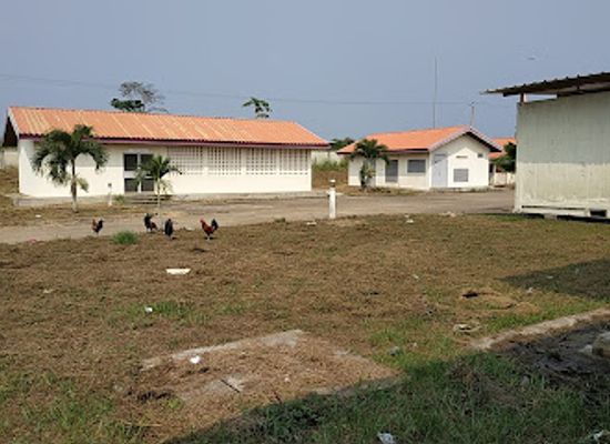 gabon/nyanga-province/shop/carrefour-ingara