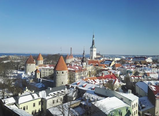 estonia/tallinn-old-town/shop/toom-ruutli-12